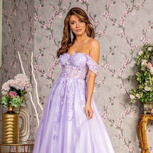 NEW OFF SHOULDER SLEEVELESS A-LINE MESH DRESS EMBROIDERED WITH APPLIQUE GL3296